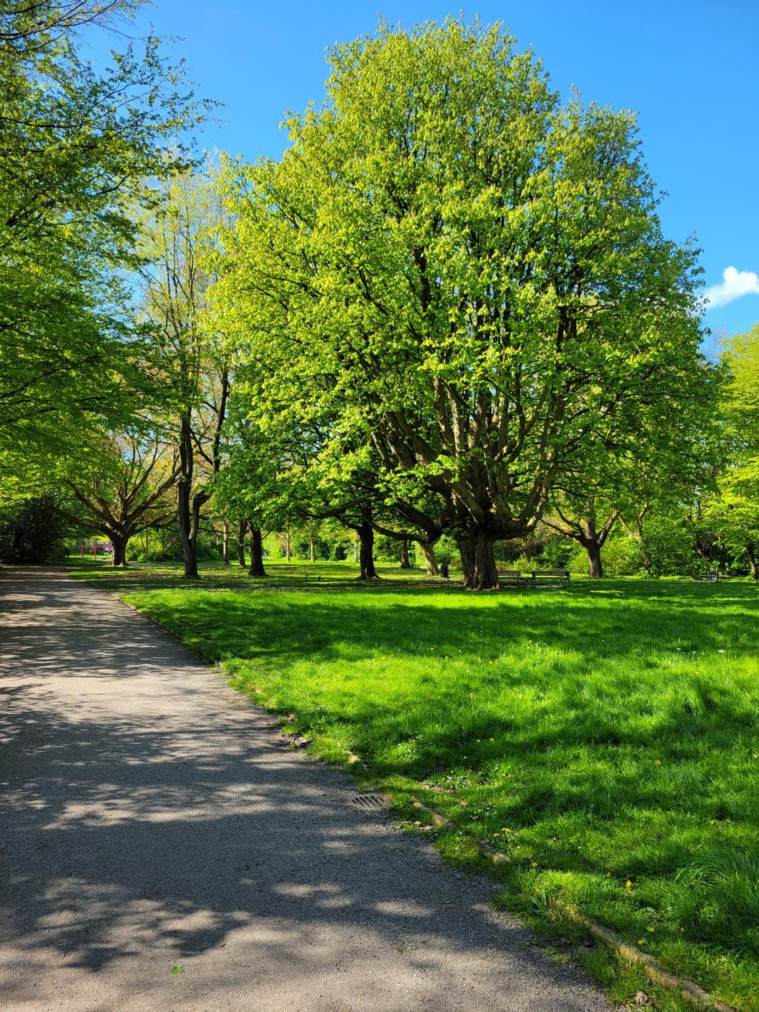 Ferienwohnungen Am Park فيلهلمسهافن المظهر الخارجي الصورة