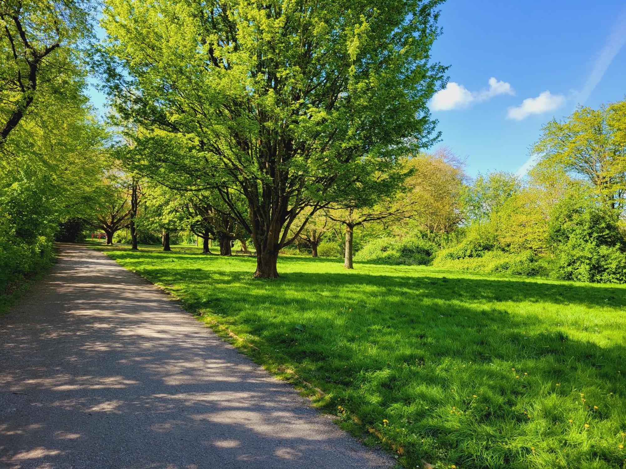 Ferienwohnungen Am Park فيلهلمسهافن المظهر الخارجي الصورة