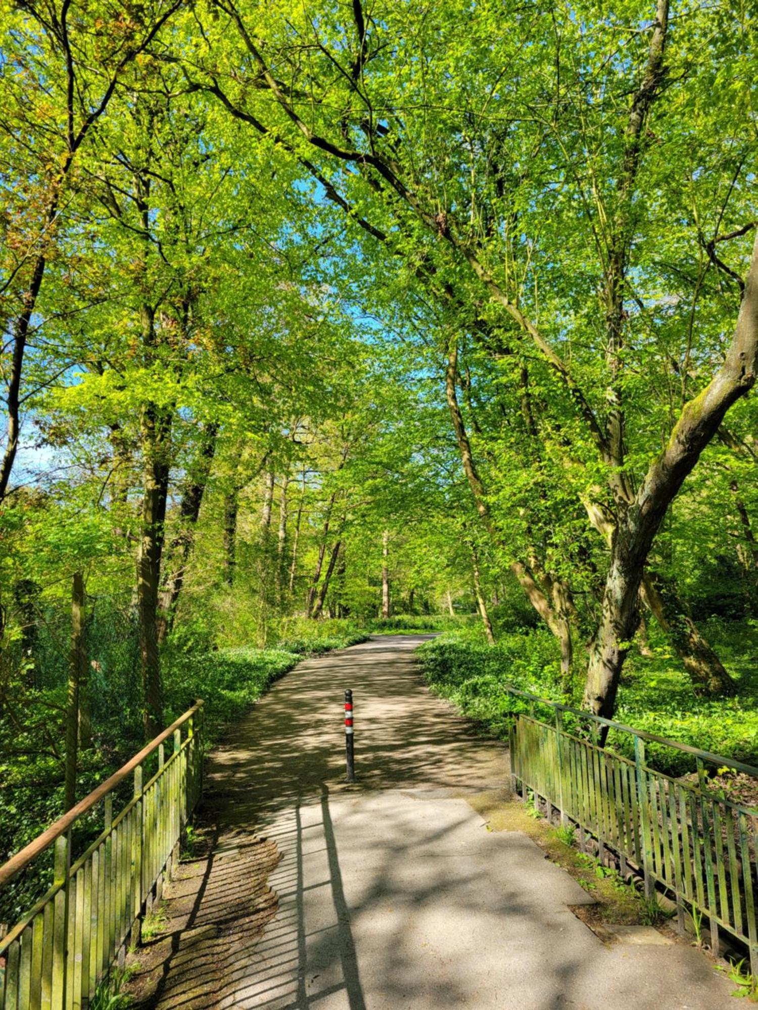 Ferienwohnungen Am Park فيلهلمسهافن المظهر الخارجي الصورة