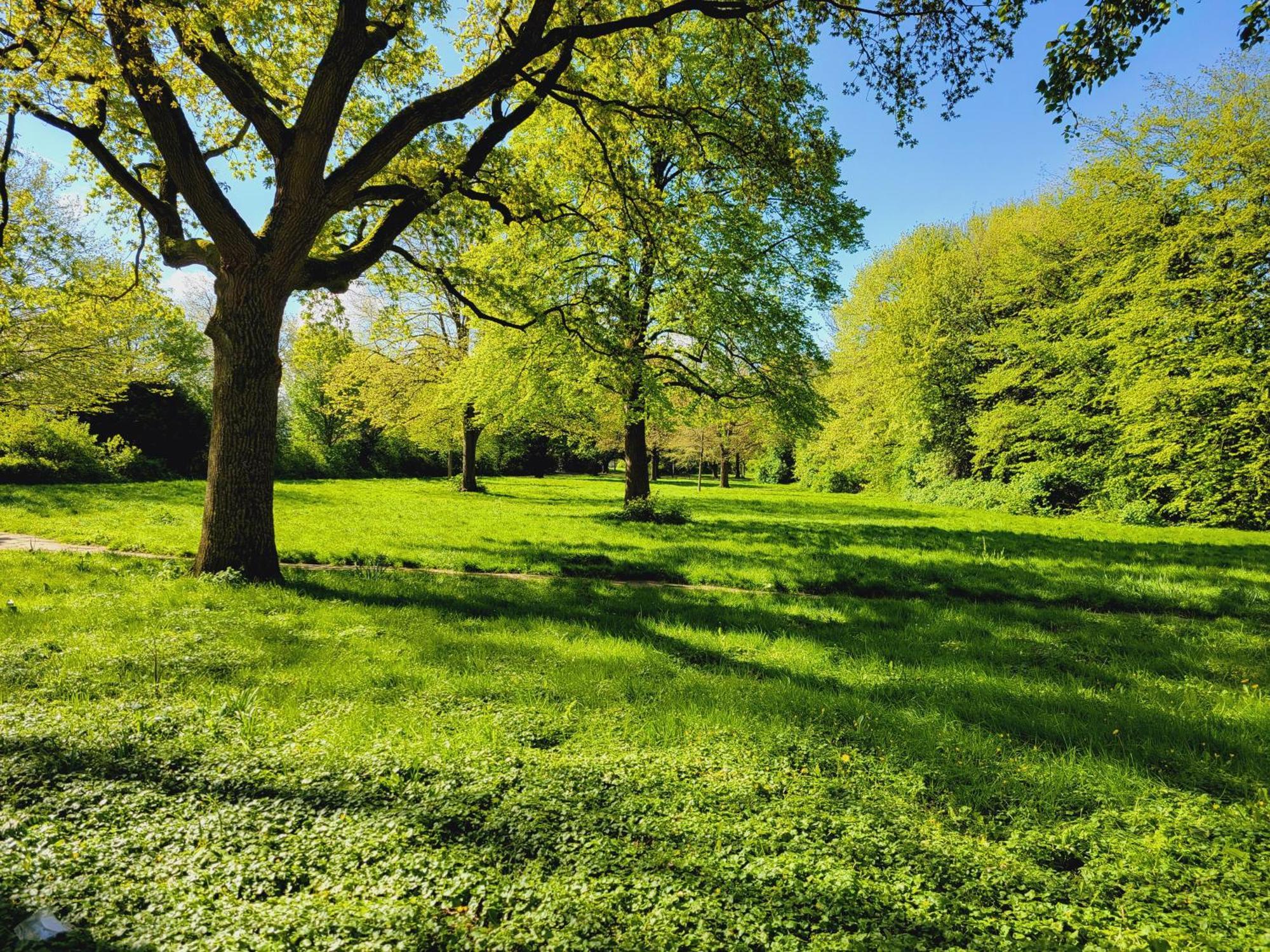 Ferienwohnungen Am Park فيلهلمسهافن المظهر الخارجي الصورة